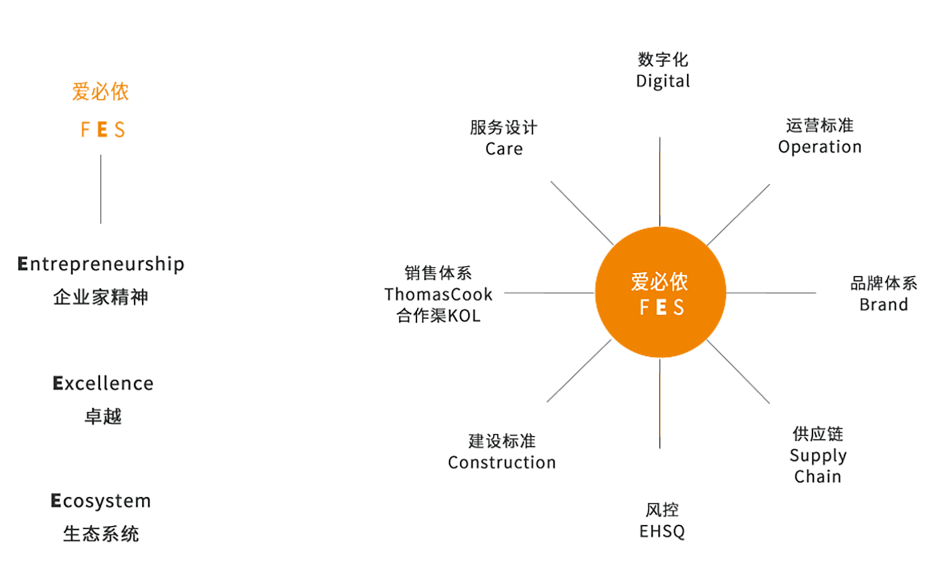 卓越的爱必侬FES体系